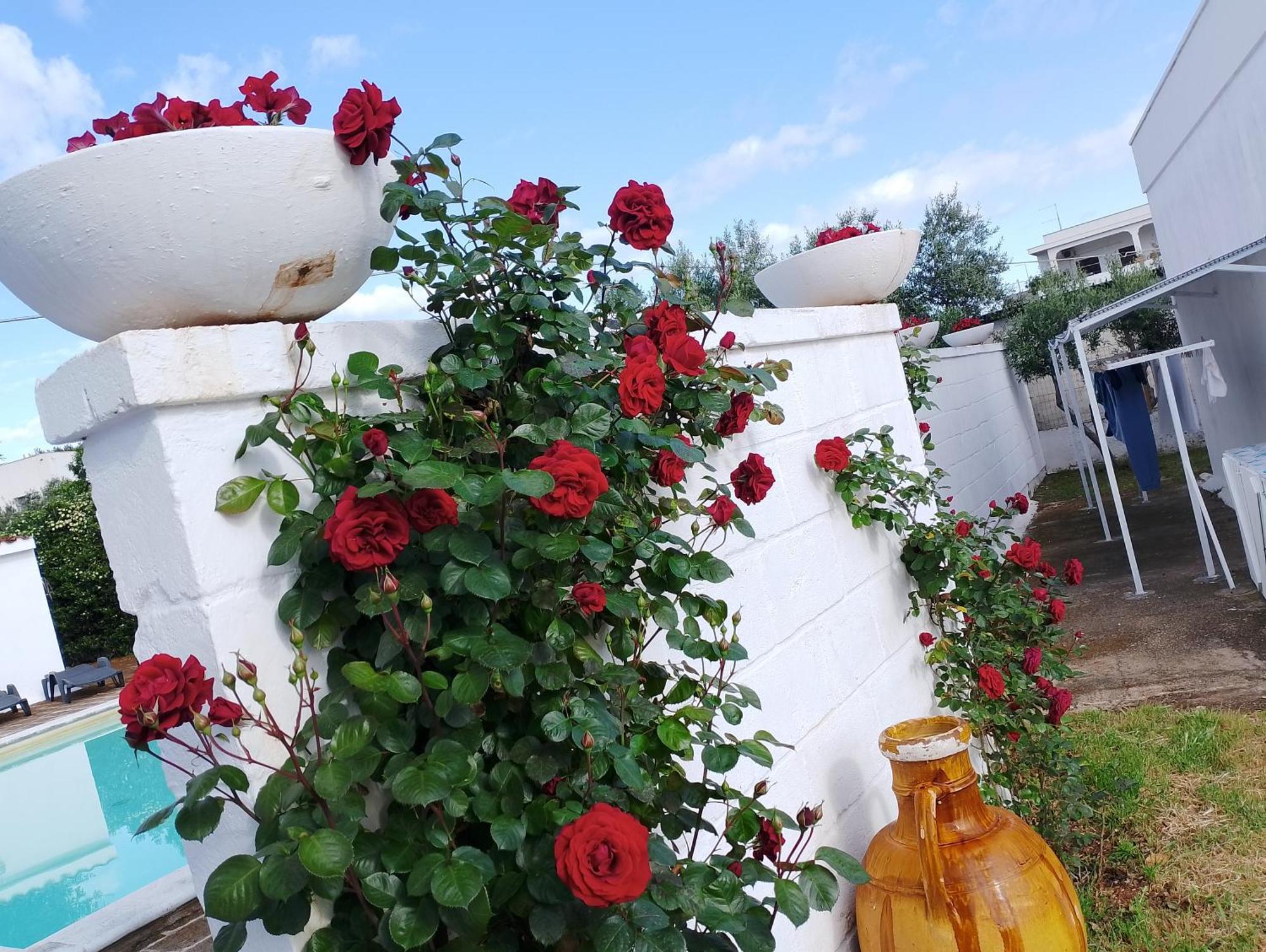 La Dimora Di Nonna Giuliana Hotel Ostuni Kültér fotó