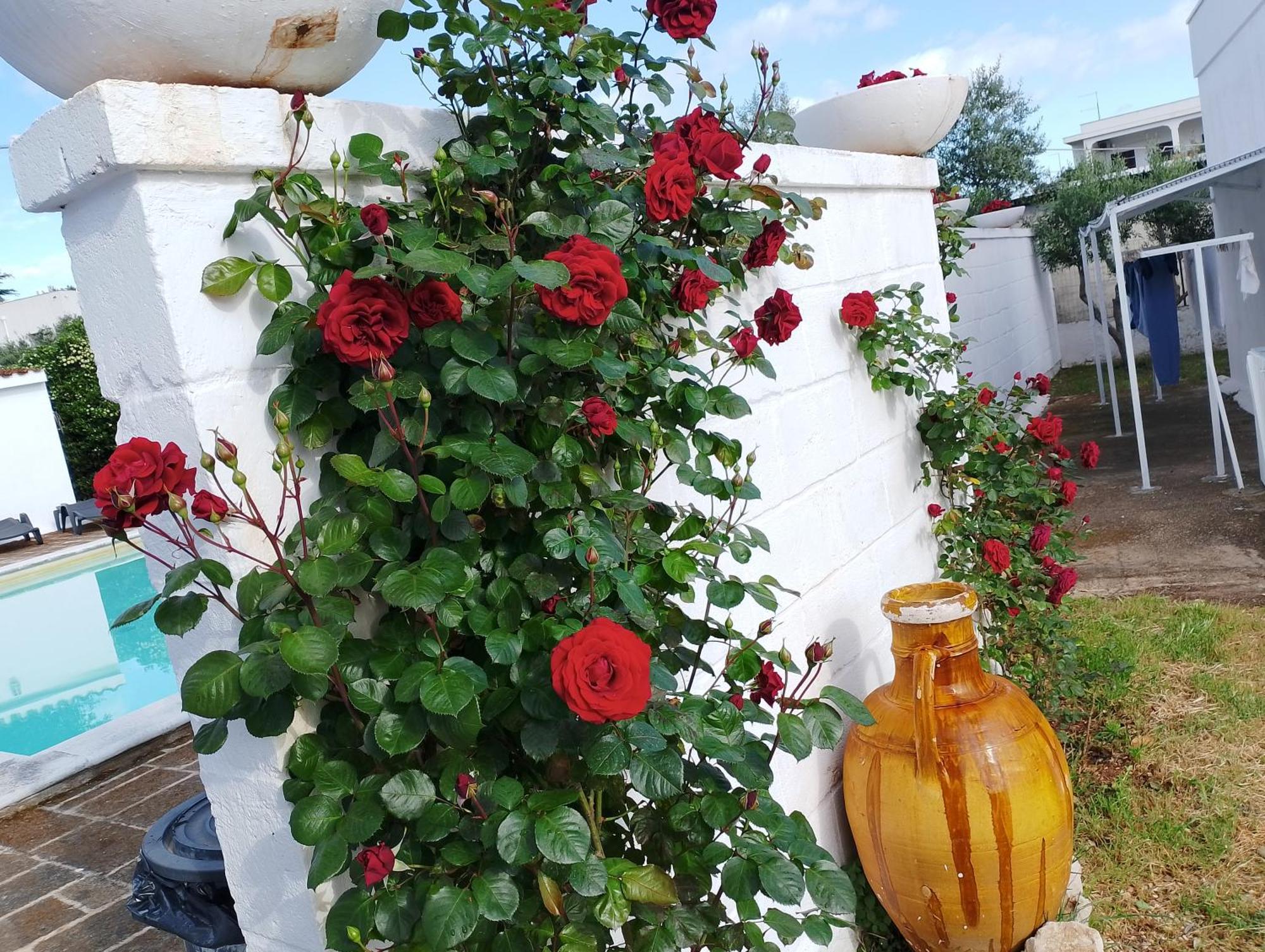 La Dimora Di Nonna Giuliana Hotel Ostuni Kültér fotó